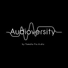 bjl平台专业音响教育培训开展全新“Audioversity ”计划